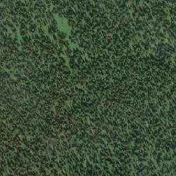 Satellite imagery of Bald Mountain, CA