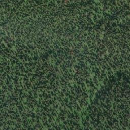 Satellite imagery of Bald Mountain, CA