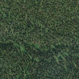 Satellite imagery of Bald Mountain, CA