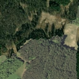 Satelita