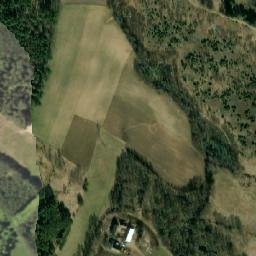 Satelita