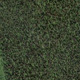 Satellite imagery of Milk Ranch Mountain, CA