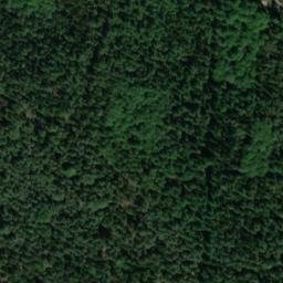 Satellite imagery of Thonhopsberg, DE