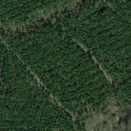 Satellite imagery of Brückenberg, DE