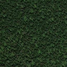 Satellite imagery of Куйга, RU