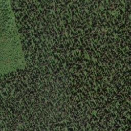 Satellite imagery of Milk Ranch Mountain, CA