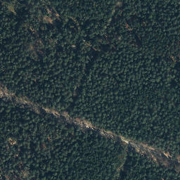 Satellite imagery of Buchenberg, DE