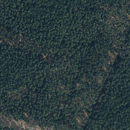 Satellite imagery of Buchenberg, DE