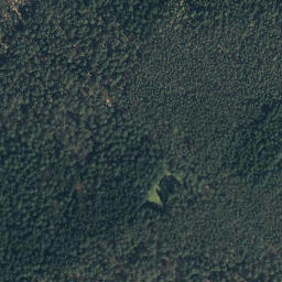 Satellite imagery of Buchenberg, DE
