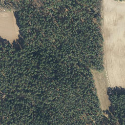 Satellite imagery of Spitzberg, DE