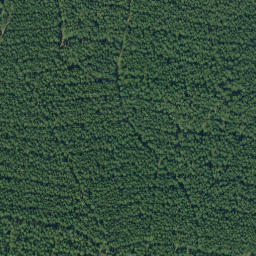 Satellite imagery of Spitzberg, DE