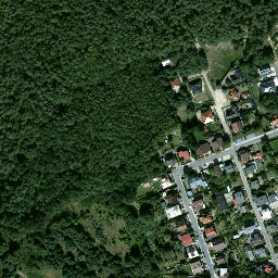 Satelita