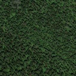 Satellite imagery of Куйга, RU