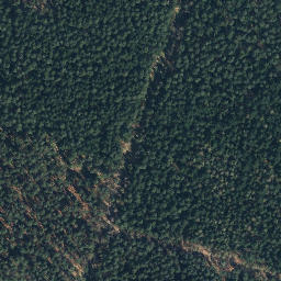 Satellite imagery of Buchenberg, DE