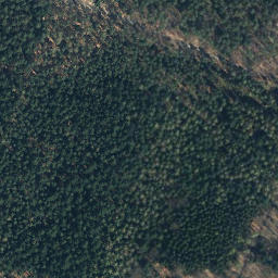 Satellite imagery of Buchenberg, DE