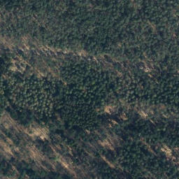 Satellite imagery of Buchenberg, DE