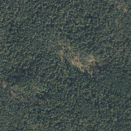 Satellite imagery of Spitzberg, DE