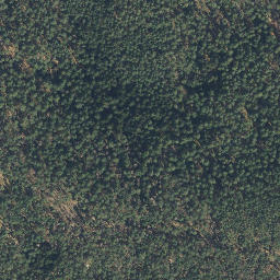 Satellite imagery of Spitzberg, DE