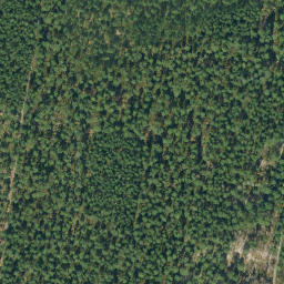 Satellite imagery of Spitzberg, DE