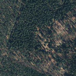 Satellite imagery of Buchenberg, DE