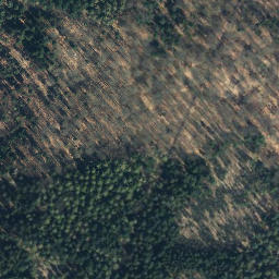 Satellite imagery of Buchenberg, DE