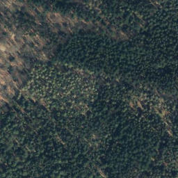Satellite imagery of Buchenberg, DE