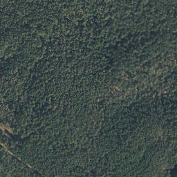 Satellite imagery of Spitzberg, DE