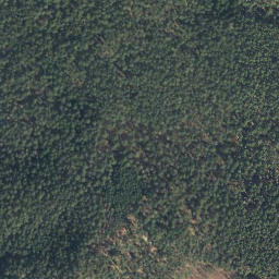 Satellite imagery of Spitzberg, DE
