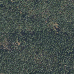 Satellite imagery of Spitzberg, DE