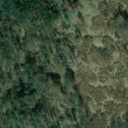 Satelita