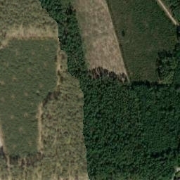 Satellite imagery of Kruszewo - Pałac, PL