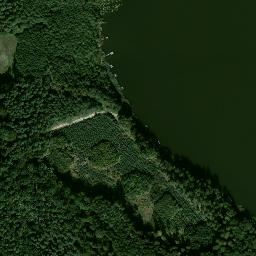 Satelita