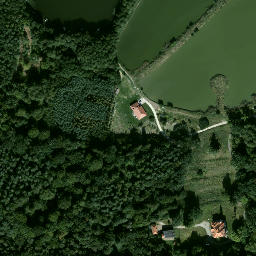 Satelita