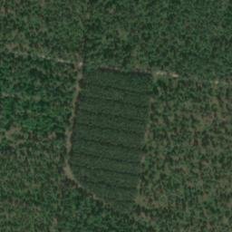Satellite imagery of Stallberg, DE