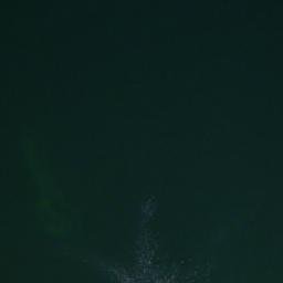 Satelita