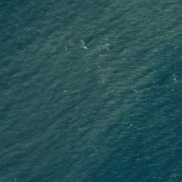 Satellite imagery of Trwyn Porth Dinlläen, GB