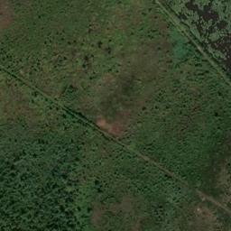 Satellite imagery of Gühlerteich, DE