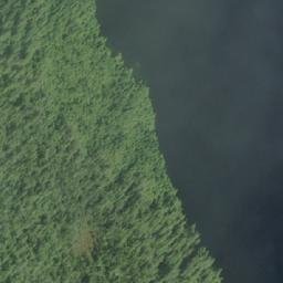 Satellite imagery of Chettleburgh Point, CA