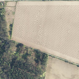 Satellite imagery of Pagenberg, DE