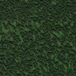 Satellite imagery of Просек, RU