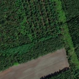 Satellite imagery of Ringelberg, DE
