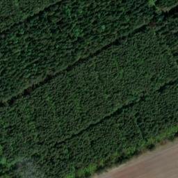 Satellite imagery of Ringelberg, DE