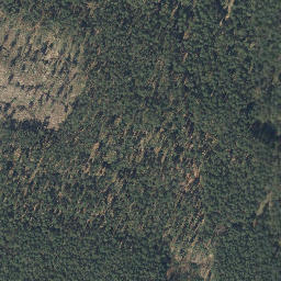 Satellite imagery of Ledigsberg, DE
