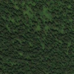 Satellite imagery of Просек, RU