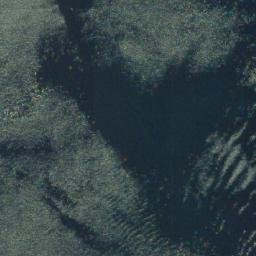 Satellite imagery of Carse Point, CA