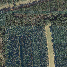 Satellite imagery of Trendelberg, DE