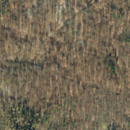 Satellite imagery of Herrscherberg, DE