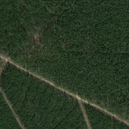 Satellite imagery of Gębice - Pałac, PL