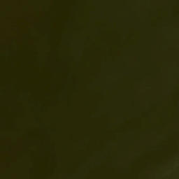 Satellite imagery of Paardenhoek, NL