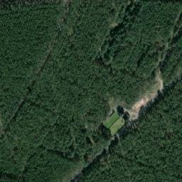 Satelita